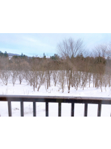 龍宮城 - かれんの女の子ブログ画像