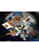 龍宮城 - かれんの女の子ブログ画像