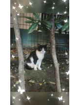 Felice(フェリス) - こはるの女の子ブログ画像