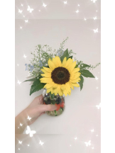 Felice(フェリス) - こはるの女の子ブログ画像