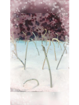 Felice(フェリス) - こはるの女の子ブログ画像