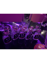 みつばちマーヤZ - かこの女の子ブログ画像