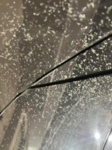 武蔵小杉 シュシュ - せらの女の子ブログ画像