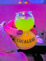 武蔵小杉 シュシュ - せらの女の子ブログ画像