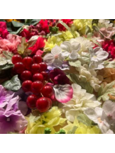 武蔵小杉 シュシュ - せらの女の子ブログ画像