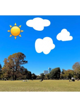 武蔵小杉 シュシュ - せらの女の子ブログ画像