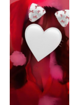 武蔵小杉 シュシュ - せらの女の子ブログ画像