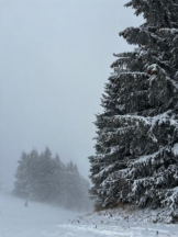 武蔵小杉 シュシュ - せらの女の子ブログ画像