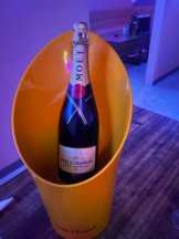 武蔵小杉 シュシュ - せらの女の子ブログ画像