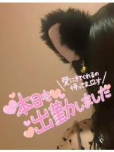 武蔵小杉 シュシュ - せらの女の子ブログ画像