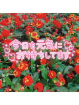 武蔵小杉 シュシュ - せらの女の子ブログ画像