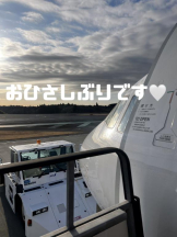 武蔵小杉 シュシュ - せらの女の子ブログ画像