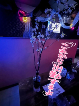 武蔵小杉 シュシュ - せらの女の子ブログ画像