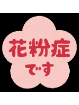 武蔵小杉 シュシュ - せらの女の子ブログ画像