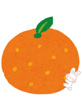 武蔵小杉 シュシュ - せらの女の子ブログ画像