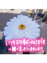 武蔵小杉 シュシュ - せらの女の子ブログ画像