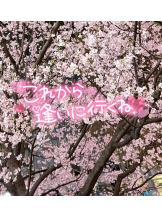 武蔵小杉 シュシュ - せらの女の子ブログ画像