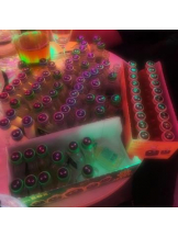 武蔵小杉 シュシュ - るいの女の子ブログ画像