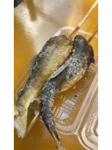 武蔵小杉 シュシュ - るいの女の子ブログ画像