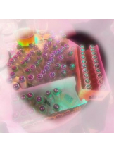 武蔵小杉 シュシュ - るいの女の子ブログ画像