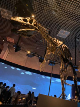 武蔵小杉 シュシュ - るいの女の子ブログ画像