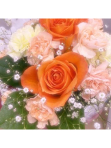 武蔵小杉 シュシュ - るいの女の子ブログ画像