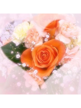 武蔵小杉 シュシュ - るいの女の子ブログ画像