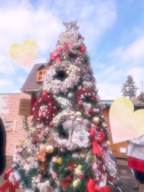 武蔵小杉 シュシュ - るいの女の子ブログ画像