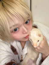 龍宮城 - いろはの女の子ブログ画像