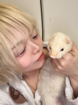 龍宮城 - いろはの女の子ブログ画像