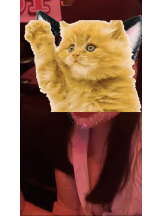 はっち 神田店 - ちさとの女の子ブログ画像