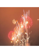 武蔵小杉 シュシュ - ゆうの女の子ブログ画像