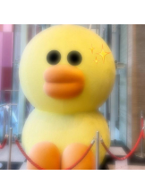 武蔵小杉 シュシュ - ゆうの女の子ブログ画像