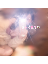 武蔵小杉 シュシュ - ゆうの女の子ブログ画像