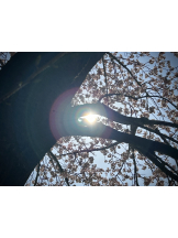 キュンキュン - らんの女の子ブログ画像