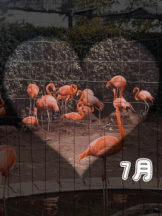 Felice(フェリス) - しずくの女の子ブログ画像