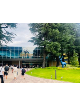 Felice(フェリス) - しずくの女の子ブログ画像