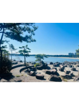 Felice(フェリス) - しずくの女の子ブログ画像