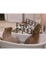 Felice(フェリス) - しずくの女の子ブログ画像