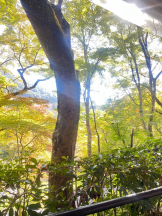 Felice(フェリス) - しずくの女の子ブログ画像