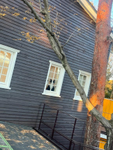 Felice(フェリス) - しずくの女の子ブログ画像