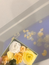 Felice(フェリス) - しずくの女の子ブログ画像