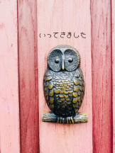 Felice(フェリス) - しずくの女の子ブログ画像