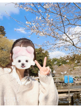 Felice(フェリス) - しずくの女の子ブログ画像