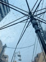 Felice(フェリス) - しずくの女の子ブログ画像