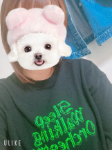 Felice(フェリス) - しずくの女の子ブログ画像