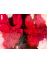 はっち 神田店 - まよいの女の子ブログ画像