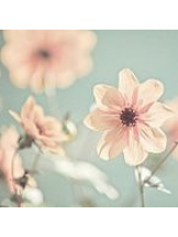 Candy kiss - あめの女の子ブログ画像