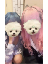 MIUMIU - ねあの女の子ブログ画像