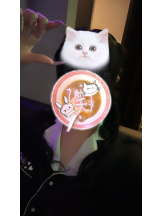 MIUMIU - ねあの女の子ブログ画像